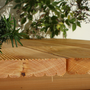 Garten / Terrassendielen / Holzterrassendielen